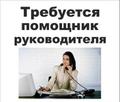 Помощник руководителя