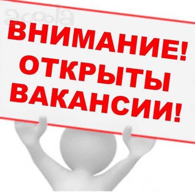 В связи с расширением штата работа для Вас