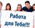 Оператор (свободный график)