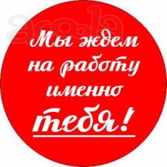 В онлайн проект требуется куратор.